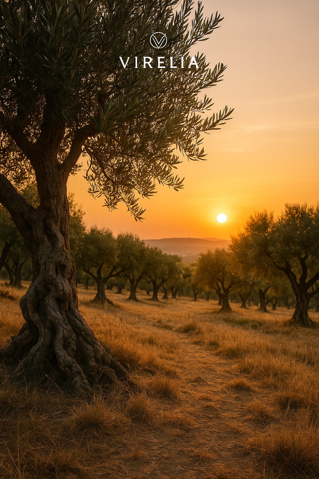 Pomegranate Molasses